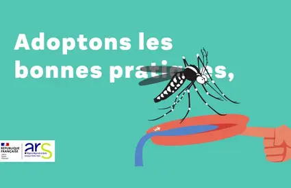 Le moustique tigre est de retour: agissez maintenant !